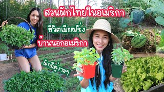 พาชมสวนผักไทยในอเมริกา ปลูกผักไทย ชีวิตเมียฝรั่งบ้านนอกอเมริกา