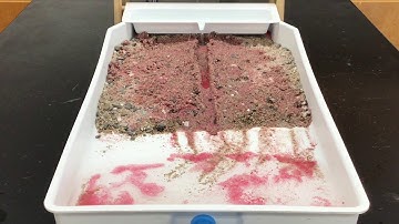 Stream Table Lab Videos 2020