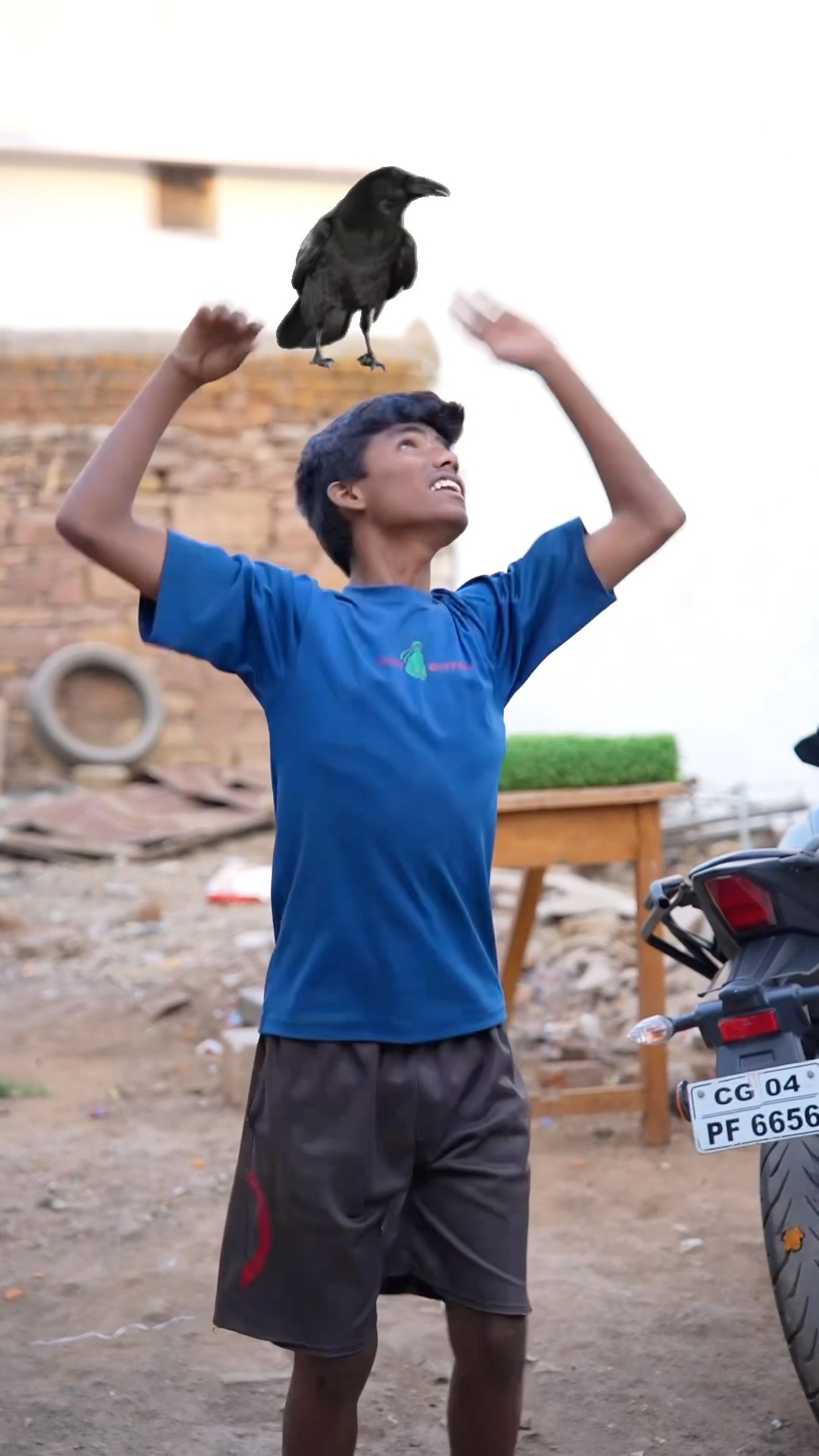 CHOTU KA CROW THIEF #shorts @FACTFIREKING