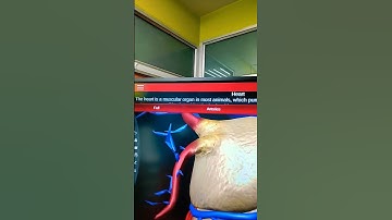 3D implementation on Promark Pro-AT Android 11 Interactive flat panel