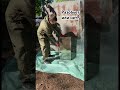Ваши ставки?