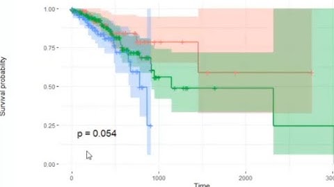 Survival Analysis | Survival Model | Data Science | Kaplan-Meier | Log-rank Test | Cancer Analysis