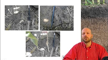 Basic Soil Properties, Soil and Water Management, part 1/4