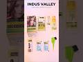 Natural Hair Colour Without Chemical | Indus valley Hair colour Unboxing