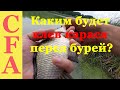 Каким будет клев карася перед бурей? Рыбалка 2019