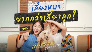 โลกของเรามันกว้าง แต่โลกของน้องหมามีแค่เรา | เมาท์มอยกับพลอยหอ