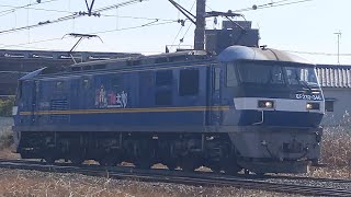 【単機！】JR貨物 EF210-346号機 新A231仕業[単1791レ] 新鶴見行 八丁畷〜川崎新町間通過！[2024.02.10(土)]