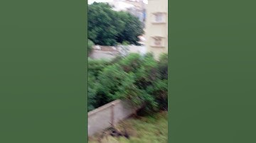 #لايك قران كريم #عبدالرحمن_مسعد_تلاوة_جديدة