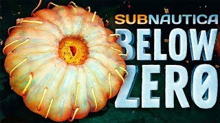 ОГРОМНЫЕ ПЕЩЕРНЫЕ ЦВЕТЫ ► Subnautica: Below Zero #14