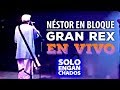Nestor en bloque - Gran Rex  │ Recital completo
