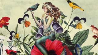 Janne Schra & Noordpool Orkest - Oppervlak Vasalis