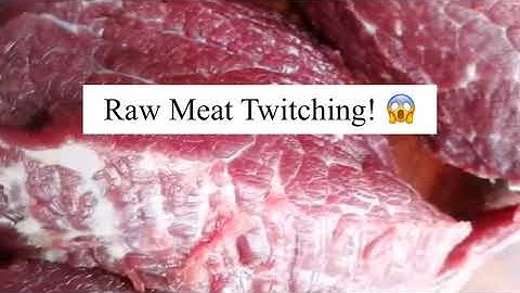 Raw meat Twitching! 😱