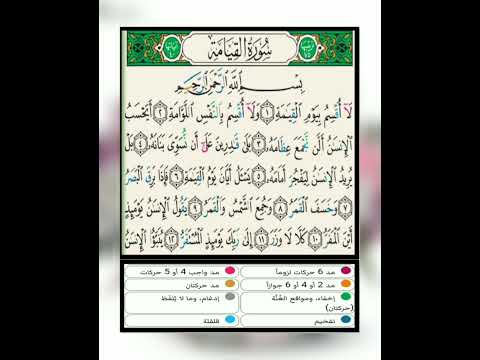 سورة القيامة تفصيل أحكام التجويد من بداية السورة إلى الآية ١٢ برواية حفص عن عاصم من طريق الشاطبية