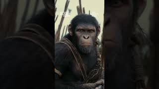 Kingdom of the Planet of the Apes I Hero