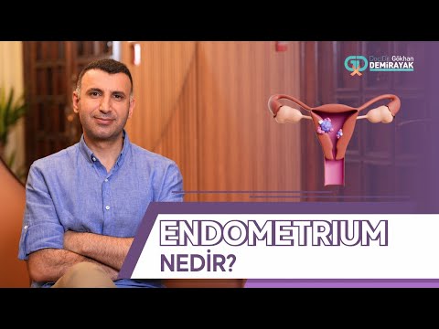 Endometrium nedir? #endometrium