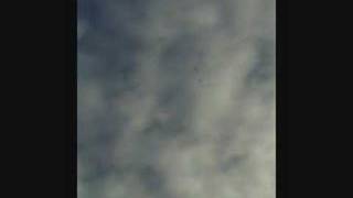 Apogee Diamondback - First Launch