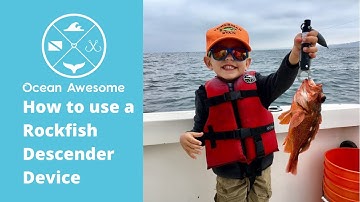 How to Use a Rockfish Descender Device