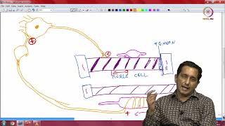 Mod 6 Lec 26 Reflexes: Introduction