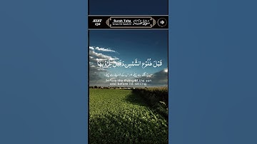 #القرآن_الكريم #تلاوة_خاشعة #المشاركة #لايك # فيديو #اكتب_شي_تؤجر_عليه #صلوا_على_النبي