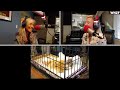 Speaking Of Animals - Behind The Scenes - May 23, 2026