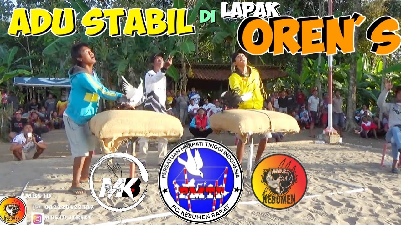 ADU STABIL LAPAK OREN,S