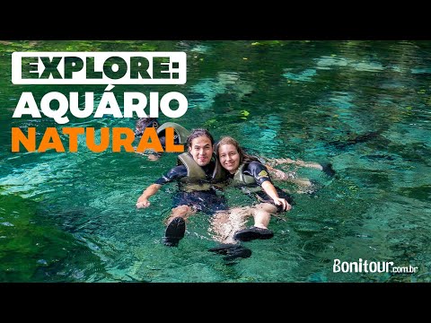 Explore Aquário Natural- Bonito MS - Bonitour| 4K