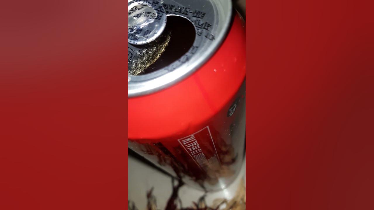 how-much-beer-in-a-beer-can-youtube