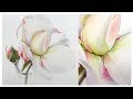 White Rose Painting in Watercolor