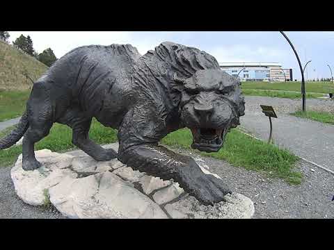 Экскурсия по Ханты-Мансийску