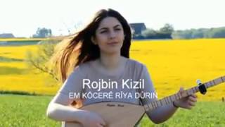 Robin kızıl Resimi