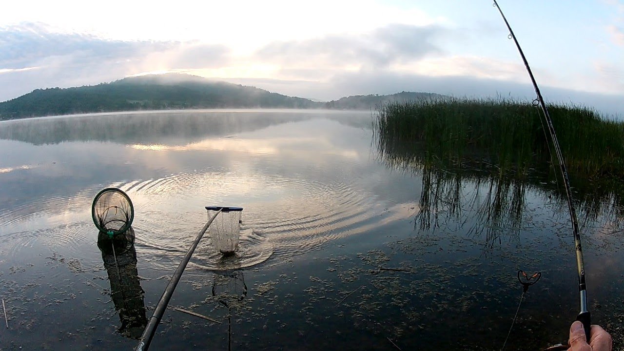 RIBOLOV - BELA RIBA I PONEKI SARAN - 4K VIDEO - YouTube