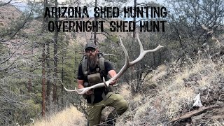 Arizona Shed Hunting: Overnight Shed Hunt