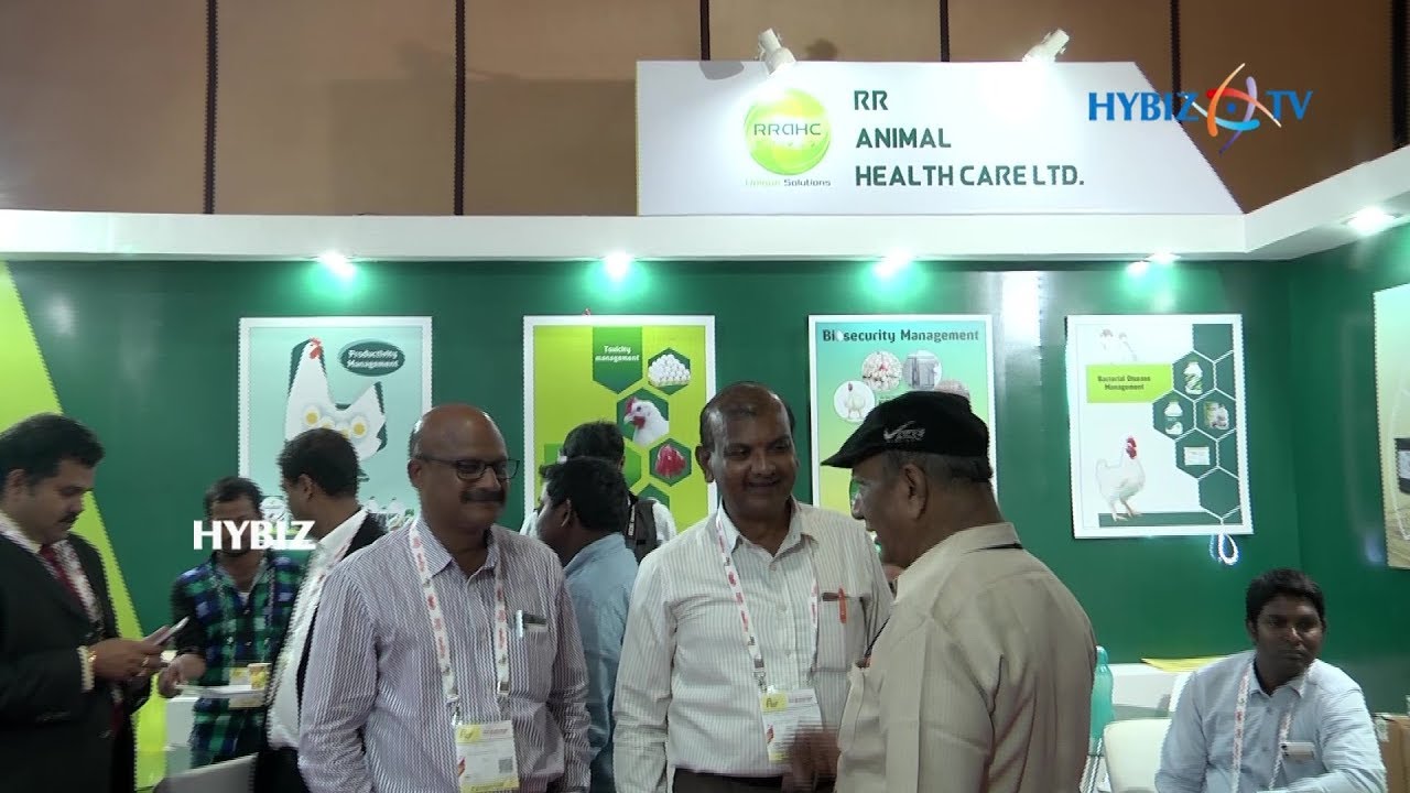 RR Animal Health Care Ltd Hyderabad Poultry Exhibition 2017 YouTube