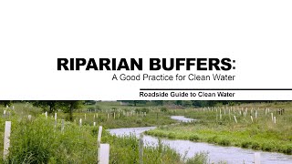 Riparian Buffers: A Good Practice for Clean Water