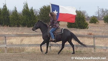 Jacks Playboon - carrying the flag! - ValleyViewRanch.net