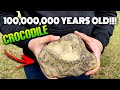 100,000,000 Year Old Croc!