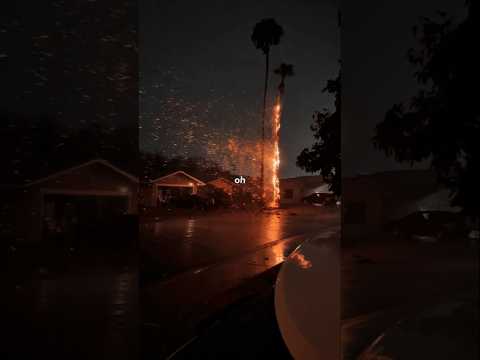 Arcade Duncan Laurence Lyrics Aesthetic Shorts English Song Sad Song Shorts Lyrics