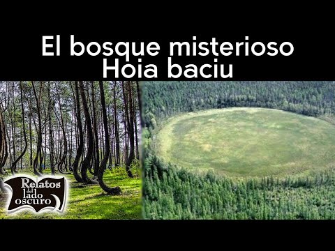 Vídeo: El Bosque Anómalo De Hoya-Bachu En Rumania - Vista Alternativa