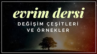 Evrim Dersi 2 Değişim Çeşitleri Ve Örnekler
