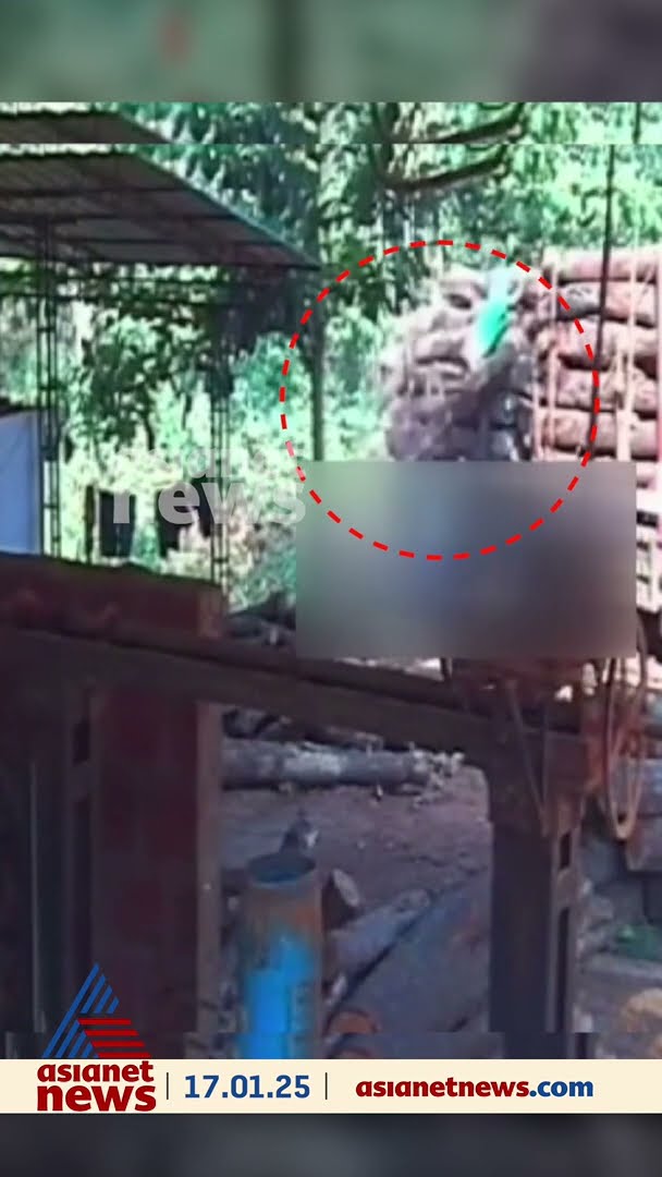 ലോറിയിൽനിന്ന് ഇറക്കുന്നതിനിടെ തടി ദേഹത്തുവീണു; ചുമട്ടുതൊഴിലാളിക്ക് ദാരുണാന്ത്യം