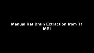 Manual Rat Brain Extraction from T1 MRI