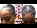 Sleek Low PonyTail On Natural Hair (No Heat🚫) Very Detailed | Begginer Friendly✨