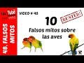 10 Falsos mitos sobre las aves