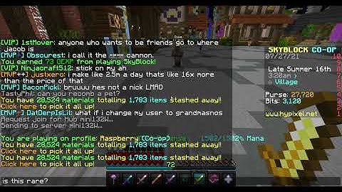 Hypixel skyblock one of my glitched items is it rare?