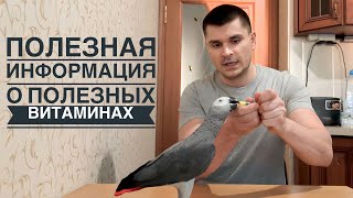 Как давать ВИТАМИНЫ попугаям? by Жако Джой и его друзья) 111 views 3 months ago 11 minutes, 20 seconds