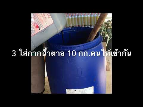 ปุ๋ยหมักจากสับปะรด กับ 7 วิธีง่ายๆสไตล์คุณ