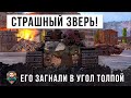 Самый страшный немецкий зверь! Толпа пожалела, что загнала его в угол в World of Tanks!