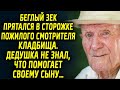 Мужчина скрывался в сторожке охранника. Дедушка не знал, что помогает своему сыну…