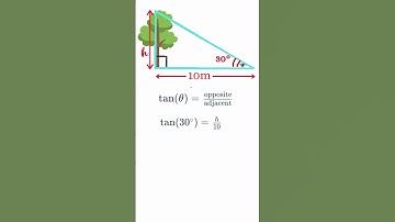 Using Trigonometry to Determine the Height of a Tall Object! 🌳📏 #Shorts
