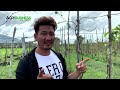Grapes farming in the Philippines? 100% possible !
